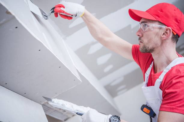 Best Mold Prevention Services  in Nellis Af, NV